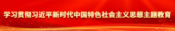 操农村女人屄视频学习贯彻习近平新时代中国特色社会主义思想主题教育